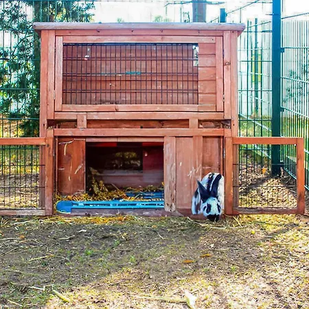 Ferienwohnung Sommersdorf Sommersdorf (Mecklenburg-Vorpommern)